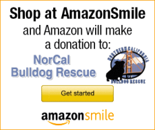shop with Amazon Smile link